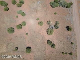 8508 Powell Ln, Show Low, AZ 85901 - photo 1