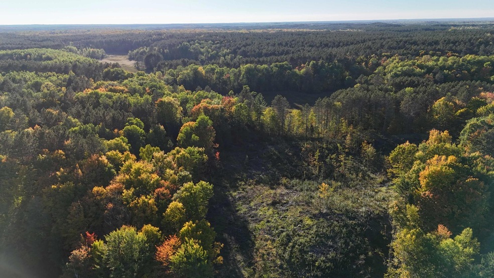 ON S Newman Lake Rd, Fifield, WI 54552 - photo 1