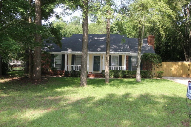 Main View
