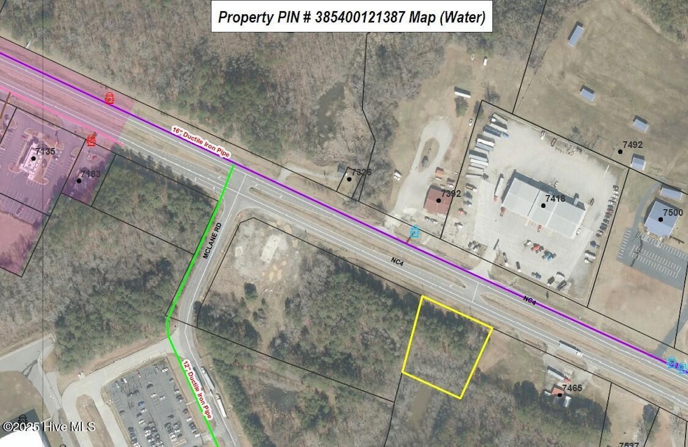 0 N Carolina 4, Battleboro, NC 27809 - photo 1