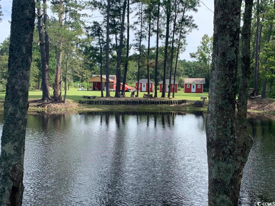 139 Pumpkin Ash Loop, Conway, SC 29527 - photo 1