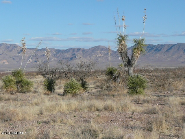 7.8 Acres S Acacia Ln, Portal, AZ 85632 - photo 1