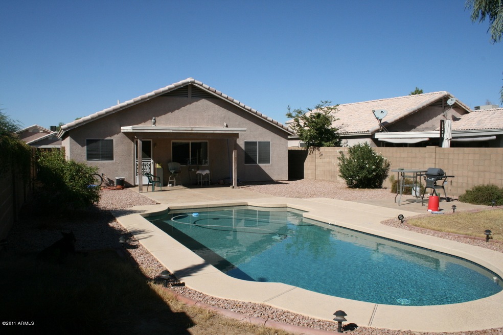 Backyard & Pool