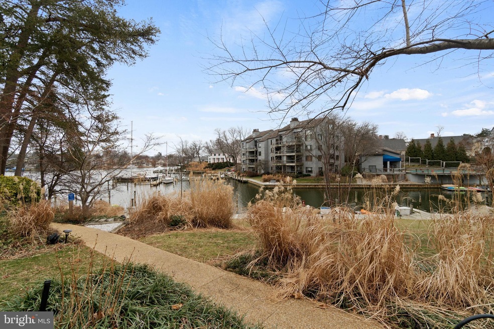 13 Spa Creek Landing unit B1, Annapolis, MD 21403 - photo 1