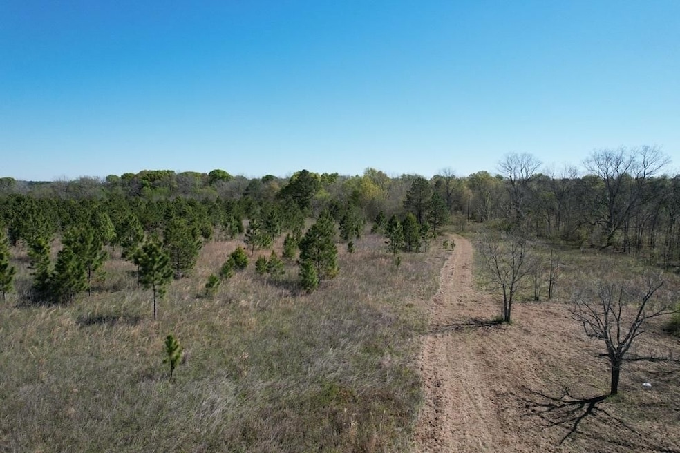 160 Old Nesbitt Rd, Cordele, GA 31015 - photo 1