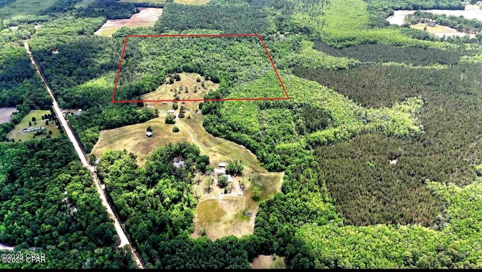 1720 Robbins Bridge Rd, Bonifay, FL 32425 - photo 1
