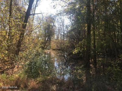 Lot 6 with Big Creek