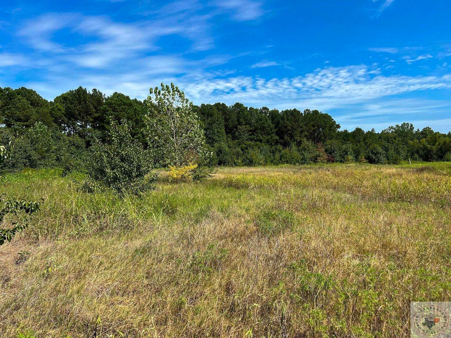 0 Terry St, Texarkana, TX 75501 - photo 1