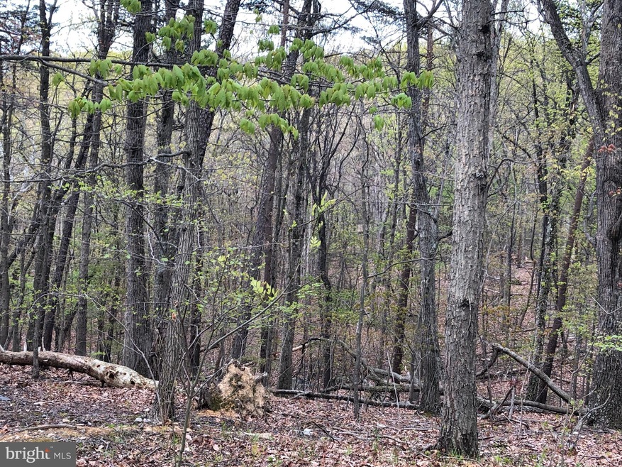 1042 Pontzer Rd, Strasburg, VA 22657 - photo 1