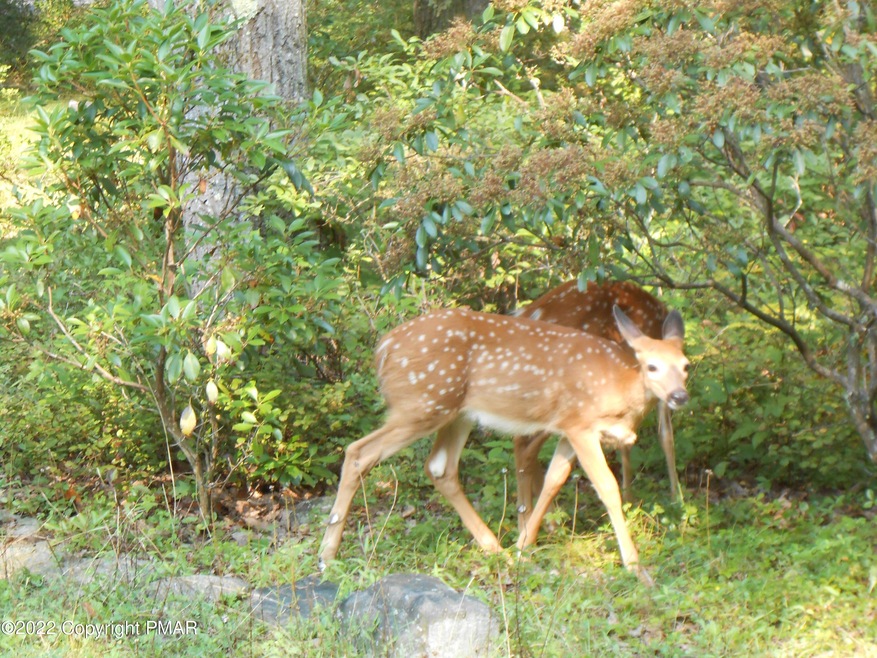 F587 Susquehanna Drive & Choctaw Rd, Jim Thorpe, PA 18229 - photo 1