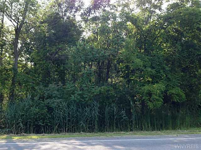 Land/Lot