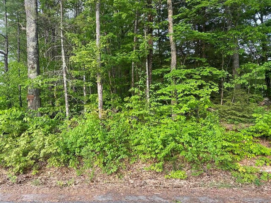 469 South Rd unit Lot 5, Sullivan, NH 03445 - photo 1