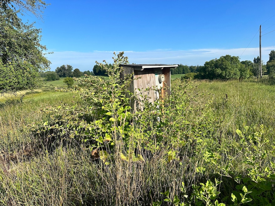 21575 150th Ave, Big Rapids, MI 49307 - photo 1