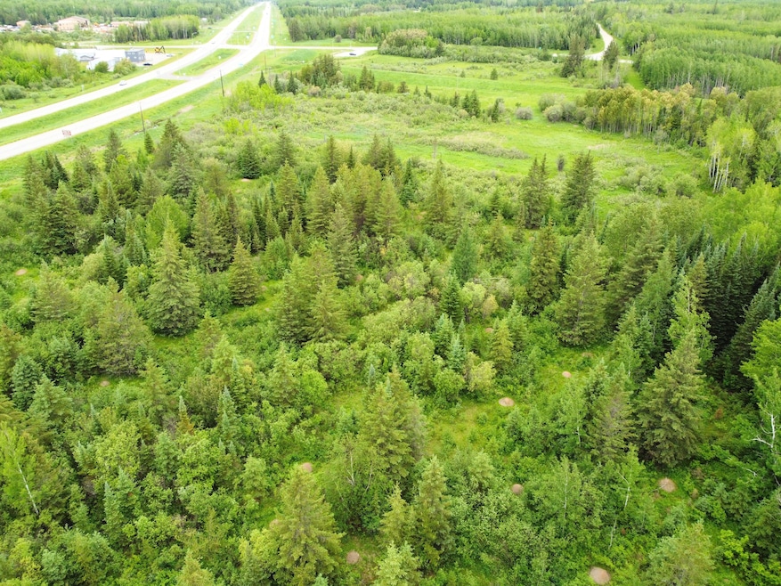 Us-53, Angora, MN 55703 - photo 1