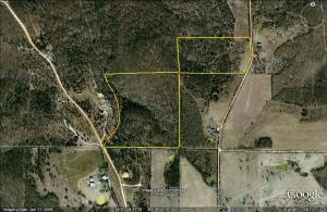 20 Acres Plumlee Rd, Compton, AR 72624 - photo 1