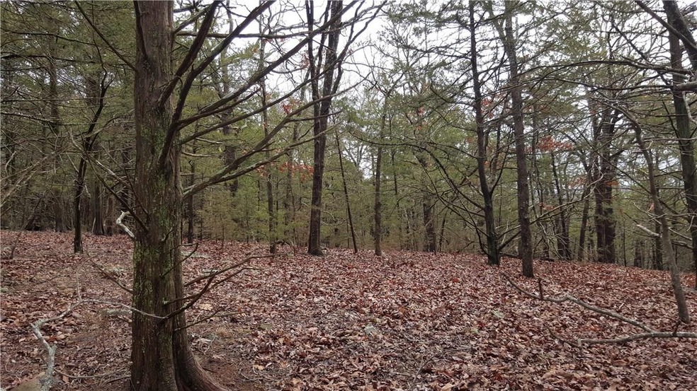 0 Willoughby Lot C Rd unit 1011779, Fayetteville, AR 72701 - photo 1