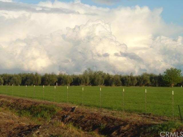 View from the west