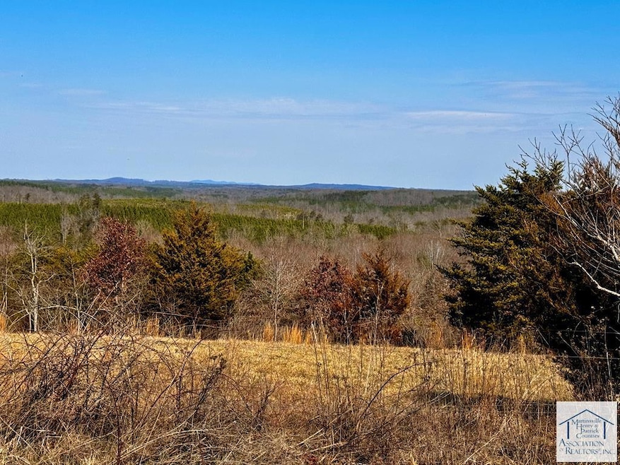 00 Sugar Barbour Rd, Axton, VA 24054 - photo 1