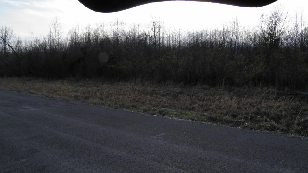 2 Ballard Rd, Manchester, TN 37355 - photo 1