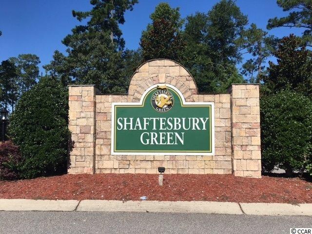 334 Dunbarton Ln, Conway, SC 29526 - photo 1