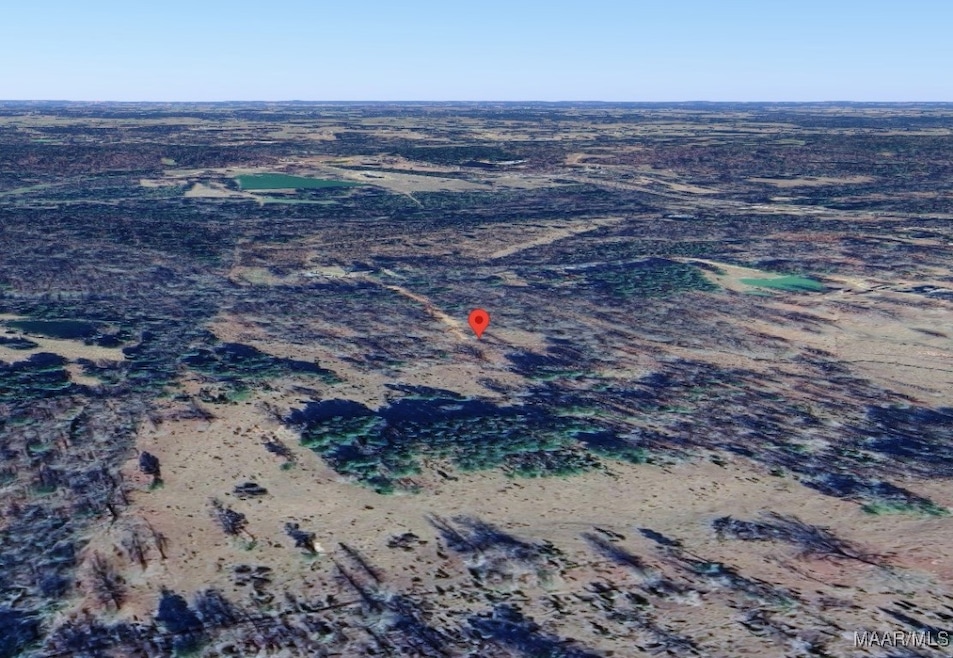 411 Pugh Rd, Mathews, AL 36052 - photo 1