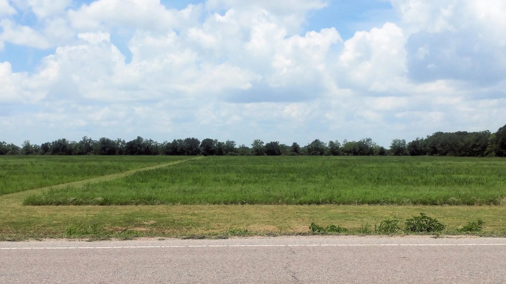 Site