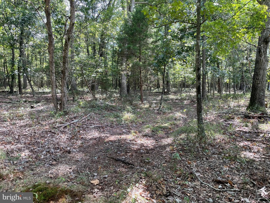 TBD Woods Chapel, New Market, VA 22844 - photo 1