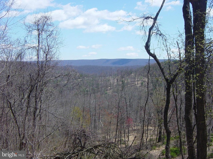 6 Mountain Run Rd, Moorefield, WV 26836 - photo 1