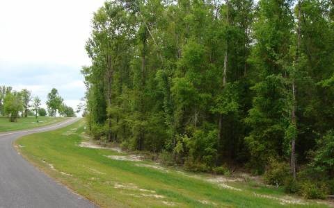 LOT 8 Mandiba Dr, Lake City, FL 32024 - photo 1