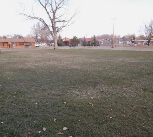Main View