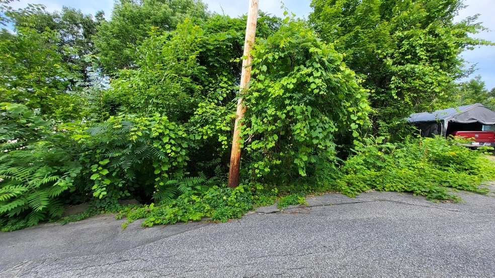 Middle of Lot 052 #3