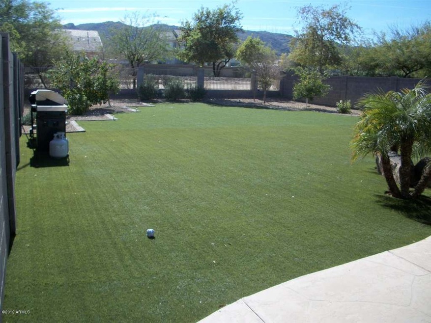 Huge Yard - Artifical Turf - Mountains!!