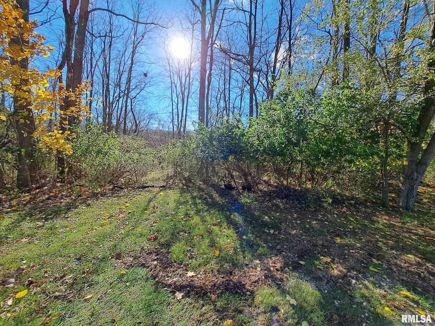 Lot 23 Scenic Hill, Port Byron, IL 61275 - photo 1