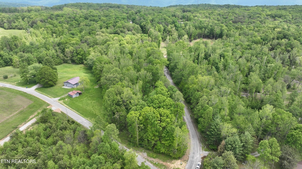 dji_fly_20250514_141924_921_174727449256