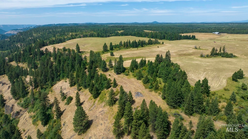 1605 Jasmine Ln Parcels 16 & 17, Weippe, ID 83553 - photo 1