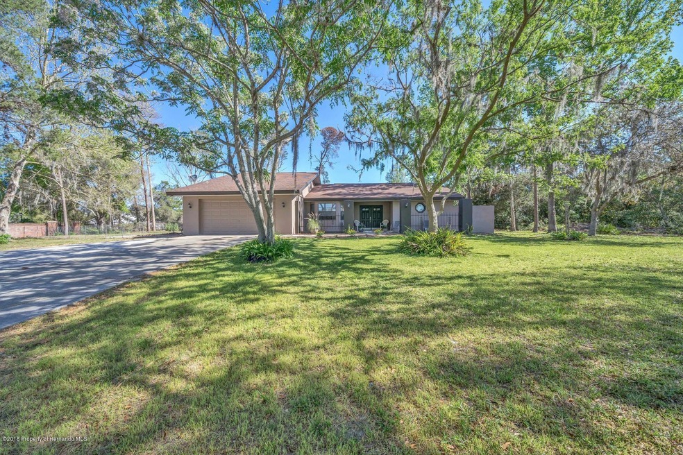7307 Jomel Dr Weeki Wachee FL-large-004-