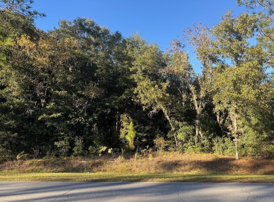 0 SW 66 St unit MFROM714495, Ocala, FL 34481 - photo 1