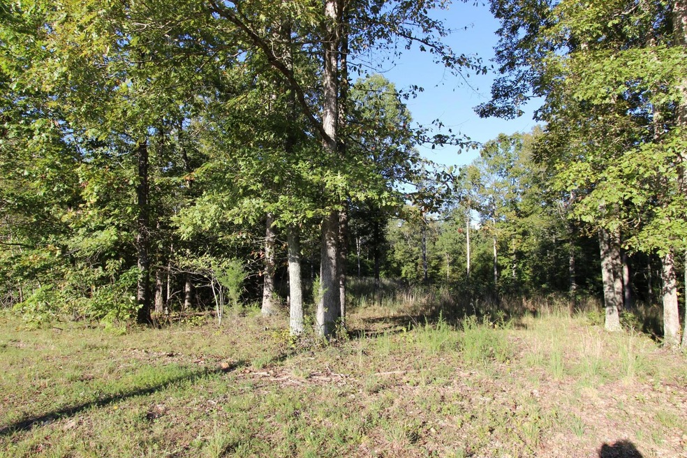 Nice acreage tract. 21.5 acres. 