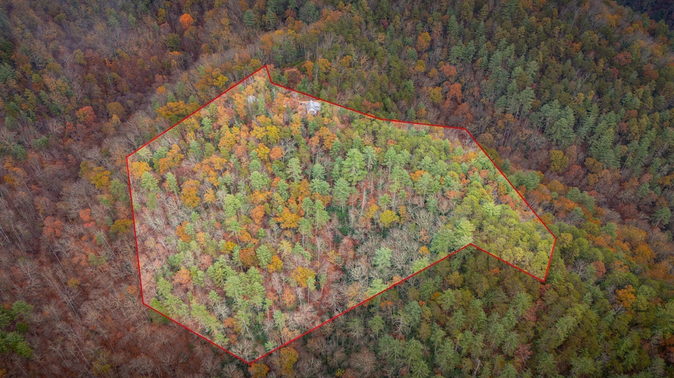 1272 Peach Orchard Way, Del Rio, TN 37727 - photo 1