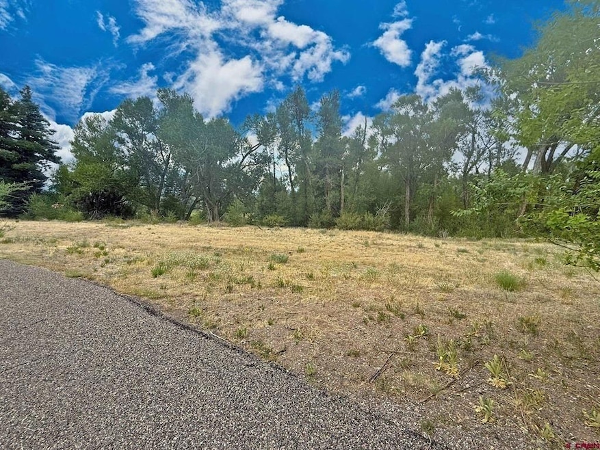 0 Highway 160, South Fork, CO 81154 - photo 1