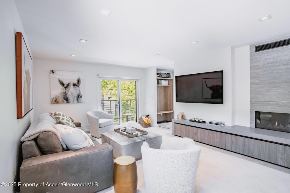 210 E Cooper Ave unit 3G, Aspen, CO 81611 - photo 1