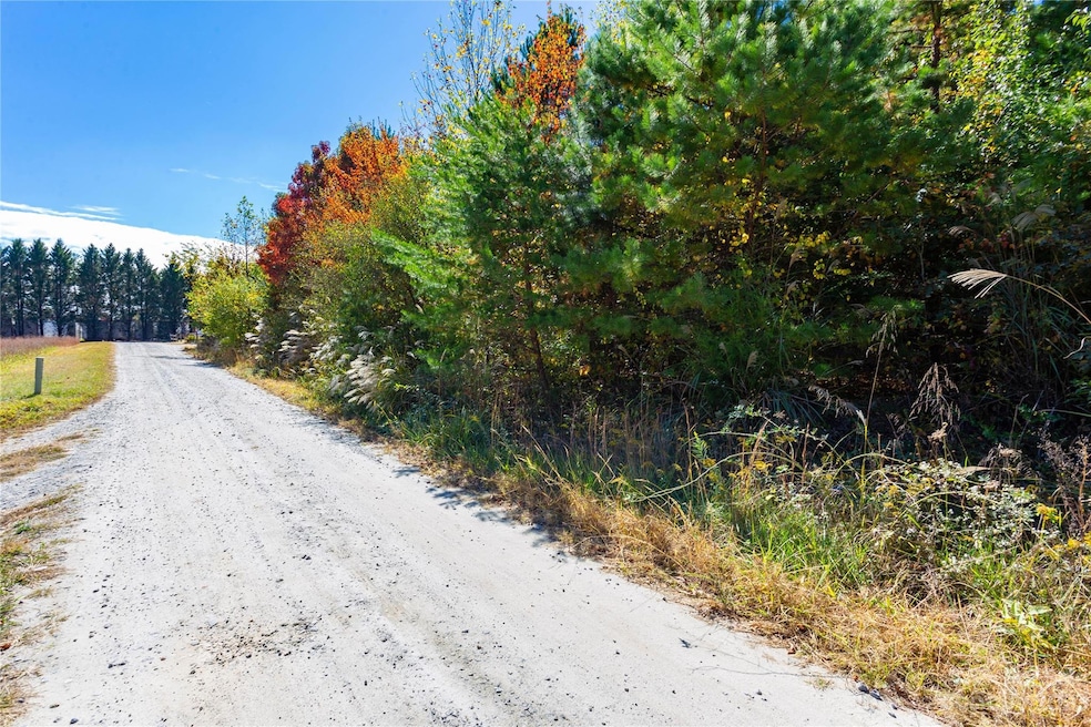 241 McCraws Hill Dr, Hendersonville, NC 28792 - photo 1