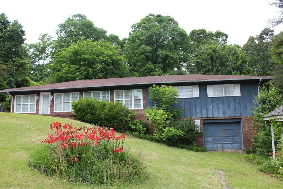 Main View