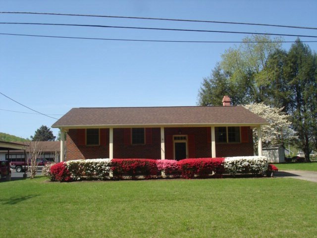 Main View
