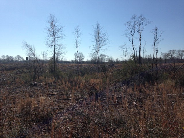 000 E Sunny Hill Rd, Tylertown, MS 39667 - photo 1