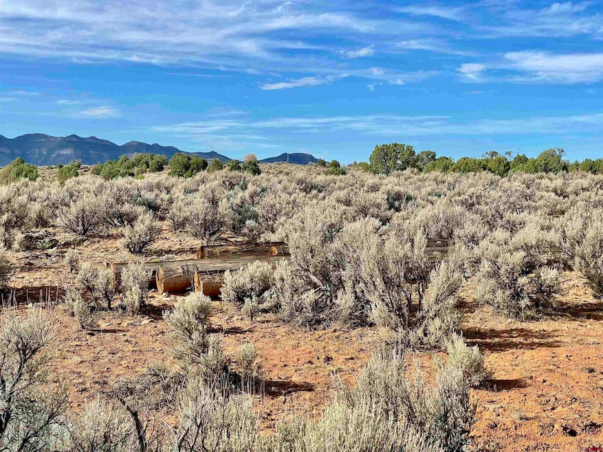 TRACT 12 N Broadway, Cortez, CO 81321 - photo 1