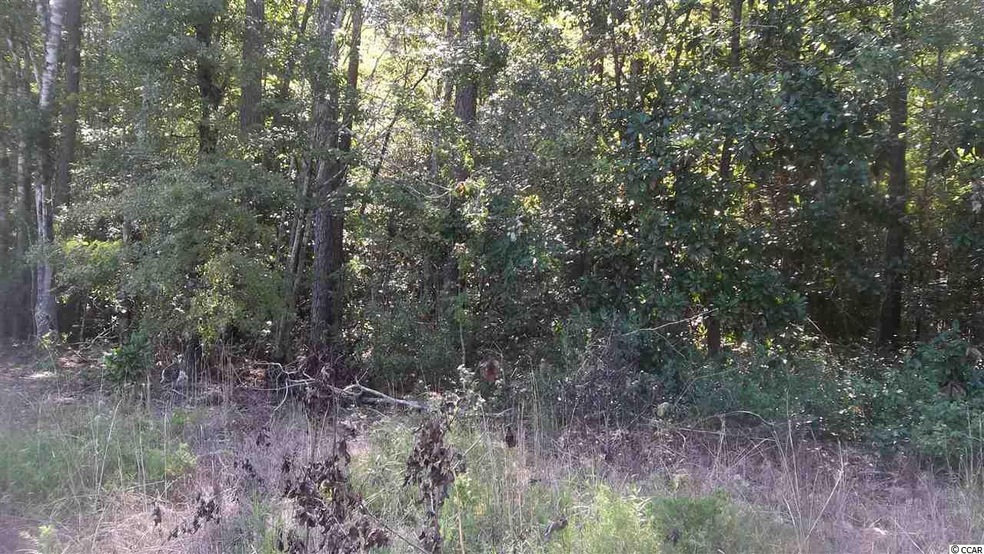 0 Cates Bay Rd unit 1618286, Conway, SC 29527 - photo 1