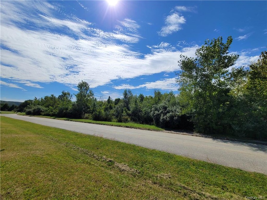 0 Hillside Ave unit ONEH6269269, Dover, NY 12594 - photo 1