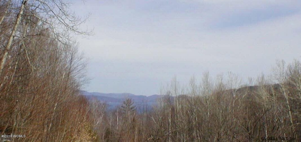 L20.2 Goldey Rd, Huletts Landing, NY 12841 - photo 1