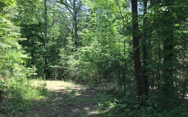 0 Toccoa River Forest unit 278490, Mineral Bluff, GA 30559 - photo 1